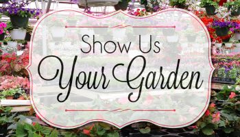 Show Us Your Garden