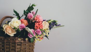 Keeping Cut Flowers Fresh