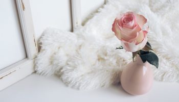 The Meaning of Rose Colors