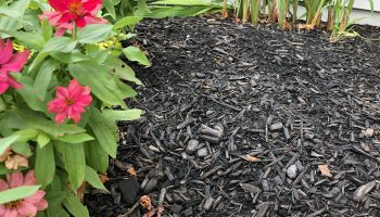 Buffalo mulch, mulching service, fall mulching