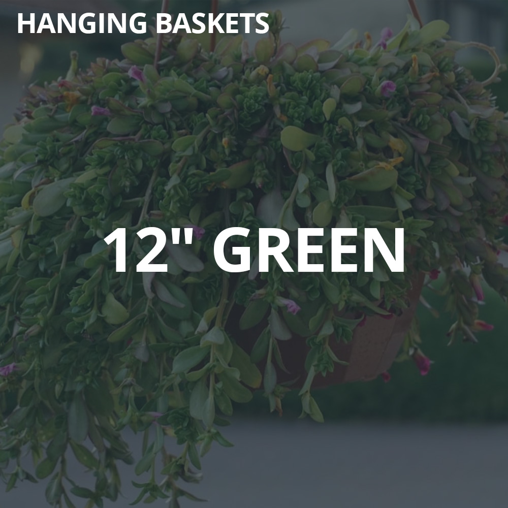 12" Green Hanging Baskets